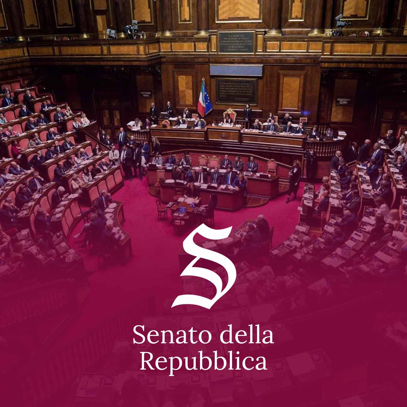 Senato della Repubblica